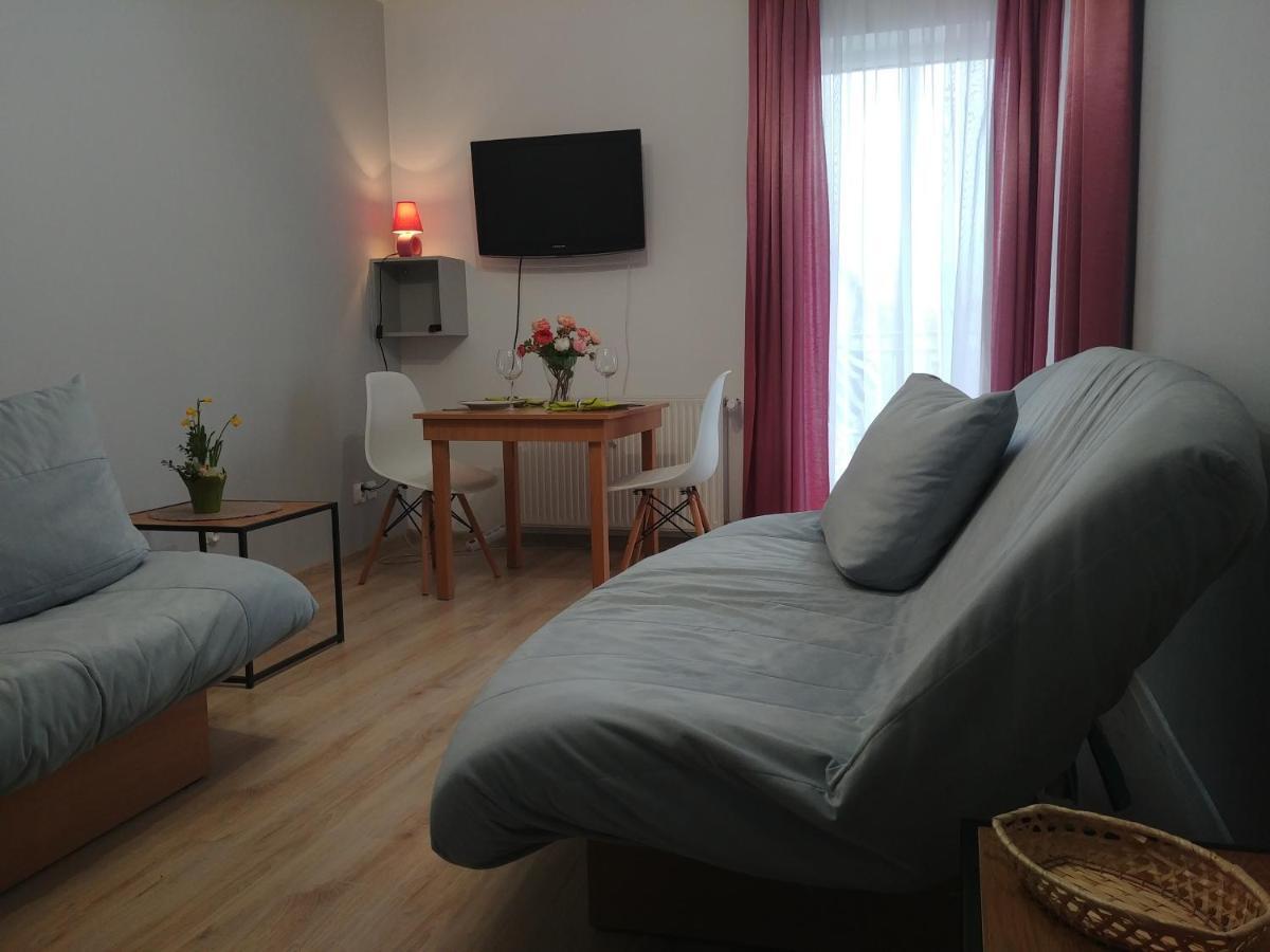 Apartament U Muzykow Криниця-Морська Екстер'єр фото